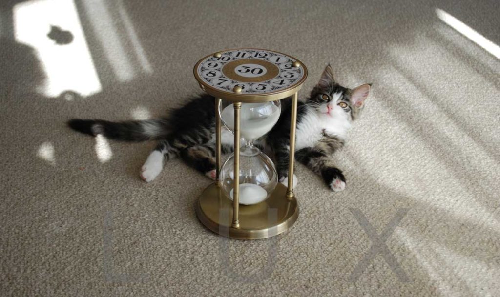 Messing Sanduhr mit Katze